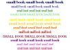 small book small book
