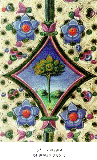 Garden Club Garden Club