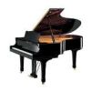 Pianoforti Pianoforti